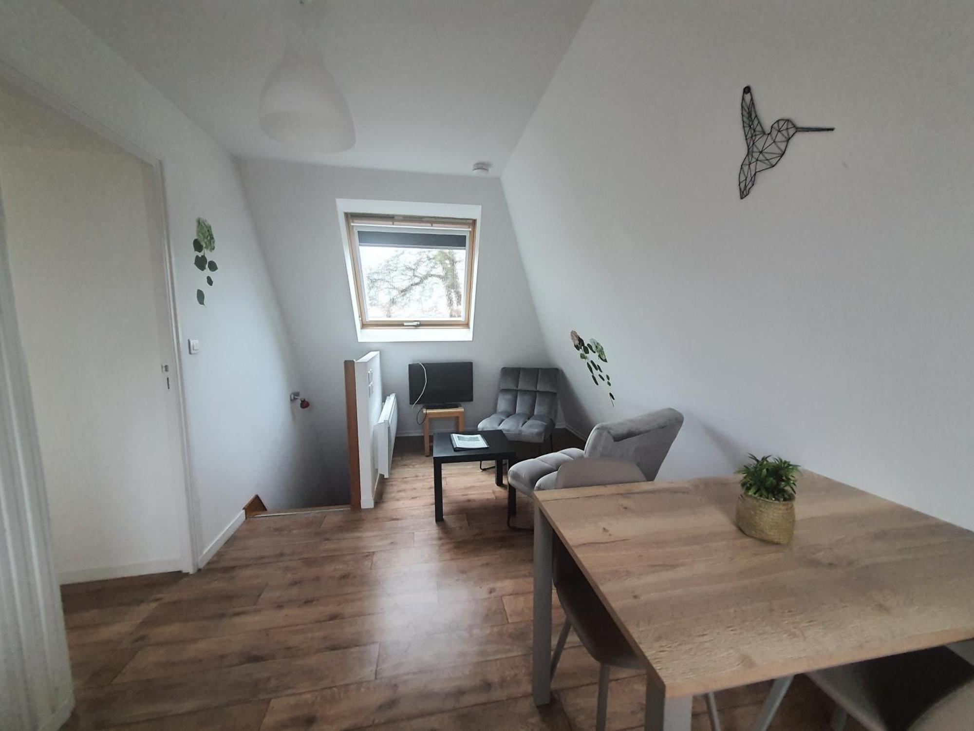 Domaine De Manehouarn Apartment Plouay Ngoại thất bức ảnh